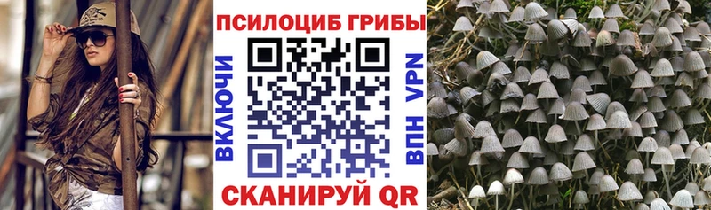 наркотики  Острогожск  Псилоцибиновые грибы прущие грибы 