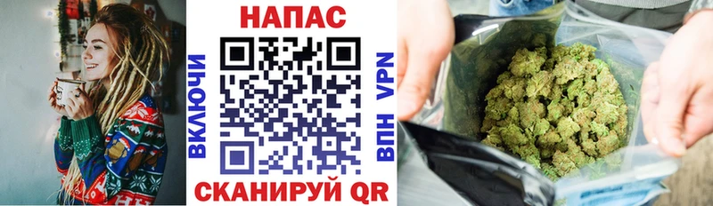 Бошки марихуана марихуана  hydra как войти  Острогожск  наркота 